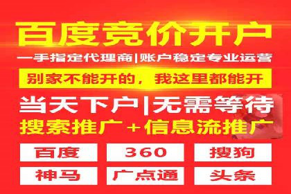 百度竞价广告投放策略案例